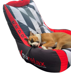 Exporelax Dogs chill